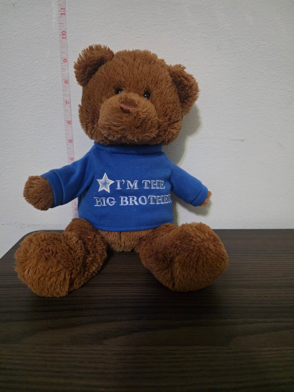GUND "I'm the Big Brother" Message Teddy Bear